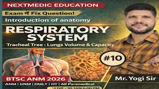 Respiratory System in Hindi | Tracheobronchial Tree | Bronchi | Lung Volume & Capacity | Yogi Sir