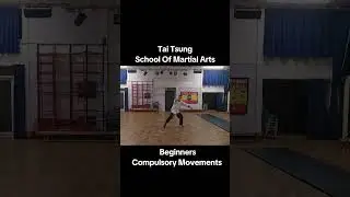 #Taitsung kung fu, 8th grade white sash beginner compulsory movements by numbers.