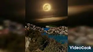 القارئ كمال انيس