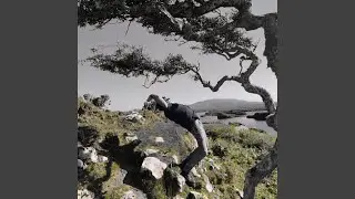 Pushing Limits