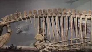 MB GeoTour 1 &ndash; Canadian Fossil Discovery Centre - Morden, Manitoba