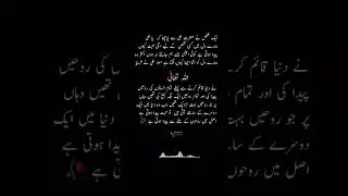 #viral #short #allah #hadith #hazratali #hazratmuhammad #islamicscholor @zswrite