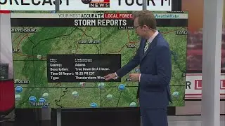 Storm Damage Summary for April 19, 2025