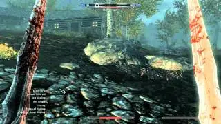 Dragon Fight 2!