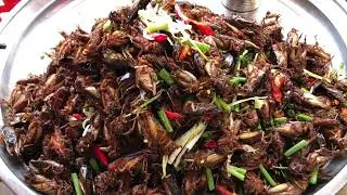 Amazing Cambodian Village Foods with Fried Wild spiders and Crickets, Yummy and Tasty
