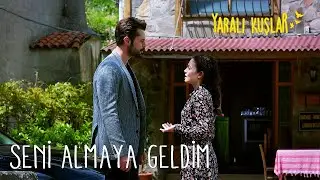 Meryem konağa dönecek mi? | Yaralı Kuşlar 50. Bölüm