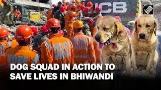 Bhiwandi building collapse: NDRF&rsquo;s dog squad rescues girl child from debris