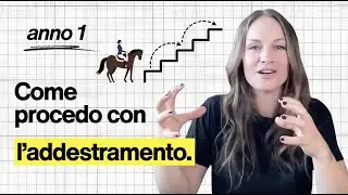 Come procedo SEMPRE con l'addestramento di ogni cavallo! 🐴