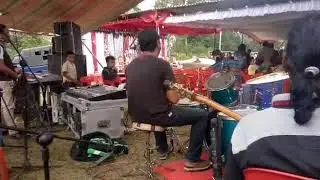Daun mas musik siborongborong