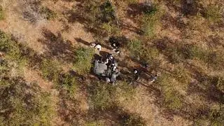 LoRaWAN&reg; Elephant Collaring in the Central Tuli Game reserve
