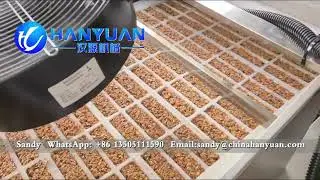 Chocolate Granola Bar Machine Oats Bar Equipment Cereal Bar Production Line#cerealbarproductionline
