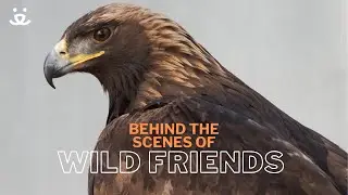 BTS: Welcome to Wild Friends at Best Friends Animal Sanctuary