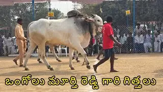 రెంటచింతల ఆరుపళ్ళు 2జత.ఒంగోలు మూర్తి రెడ్డి గారు. ఎర్రగొండపాలెం మండలం మార్కాపురం జిల్లా