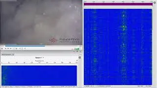 Aura Ai-X : Subsea cable protection