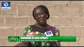 Adamawa Govt Raises Alarm Over Food Crisis Due To Attacks