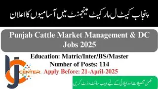 PCMMDC Lahore Jobs 2025 Online Apply // Lahore jobs Apply // PCMMDC jobs Apply today