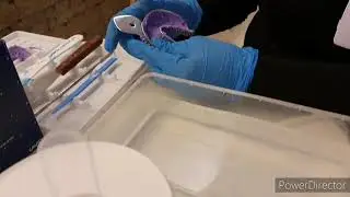 Topcore Cavex GreenClean