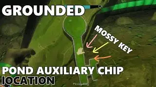 Pond Lab Auxiliary Chip Location - Grounded