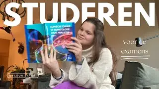 ✨ Een Productieve Dag Studeren voor Mijn Examens | Study Vlog