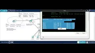 STP designated ports case 2