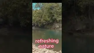Refreshing river #nature #shorts#short