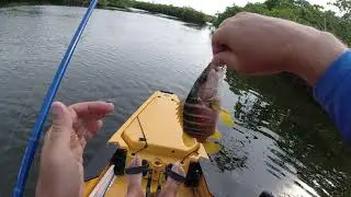 Pennekamp State Park Kayak Launch Review and Kayak Fishing