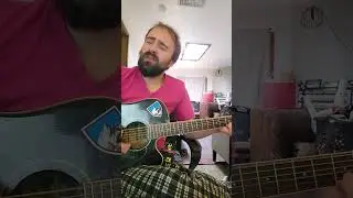Weezer- Pink Triangle (Cover)