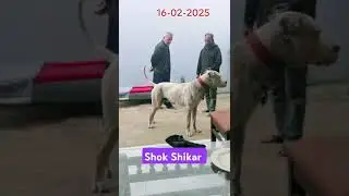 Sheeka Khan shb Wala Ready for tomorrow's match