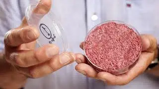 Lab-Grown Meat Prices are coming down
