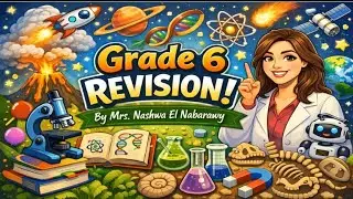 Grade 6 - Term 1 - Final revision (part 3)