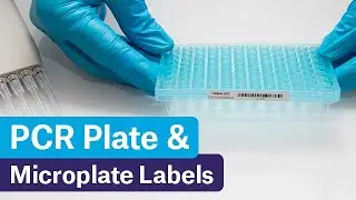 Labels for PCR Plates and Microplates