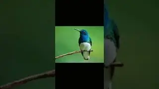 Amazing Facts About Twitter