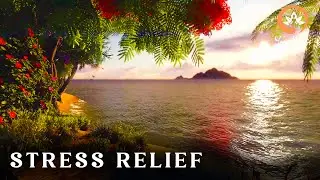 Calming Relax Music for Mind Relaxation & Peaceful Sleep l Music for Stress Relief