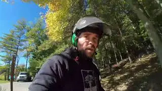(Live Stream) Removing Trees