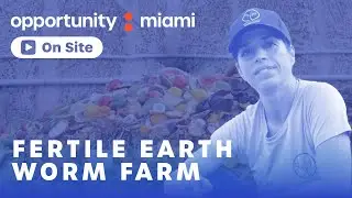 Fertile Earth Worm Farm: Turning food waste into soil in Miami