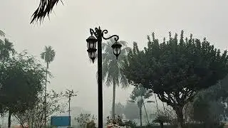 ভোরের আলোয় বাংলার রূপ | Morning Bangladesh