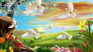 Birds Green screen video, Whatsapp Status Video, Love Status Video