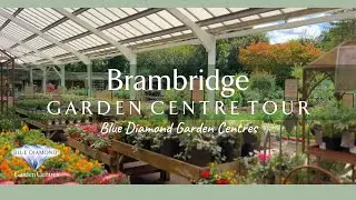 Brambridge Garden Centre - Blue Diamond - Tour