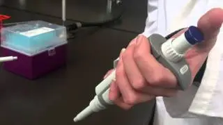 How to Practice Proper Pipetting Technique
