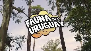 FAUNA DEL URUGUAY