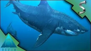 SHARK OUTTA WATER! MEGALODON HUNT! - Depth [Gameplay E18]