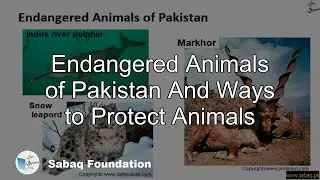 Endangered Animals of Pakistan And Ways to Protect Animals, General Science Lecture | Sabaq.pk
