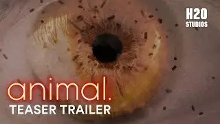 animal. | Official Teaser Trailer