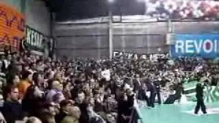 Panathinaikos fans at womens' volleyball cup final