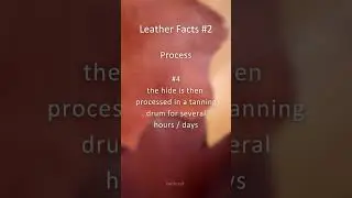 Process of tanning leather - leather facts #leather #leatherfacts #craft #leathertanning