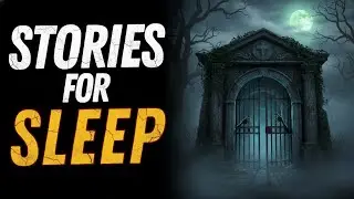 True Scary Stories Told In The Rain | Relax and Fall Asleep Quickly | Black Screen | Vol 62