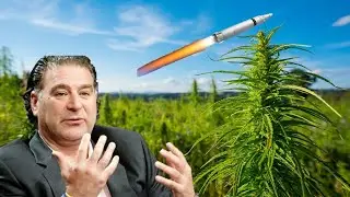 Tilray (TLRY) Stock Update! Is the price fair?