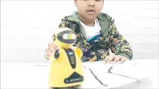 Magic Auto induction Follow Robot