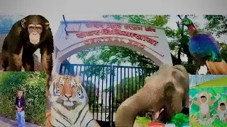 Central Zoo Of Nepal @zoovlog @Animals🐯🦍🦚