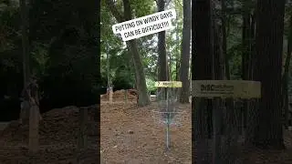 Putting On Windy Day 🌬️ #community # fun #discgolf #disc #havefun #discgolfeveryday